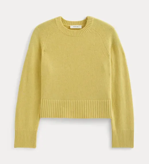 Everlane Boxy Crew